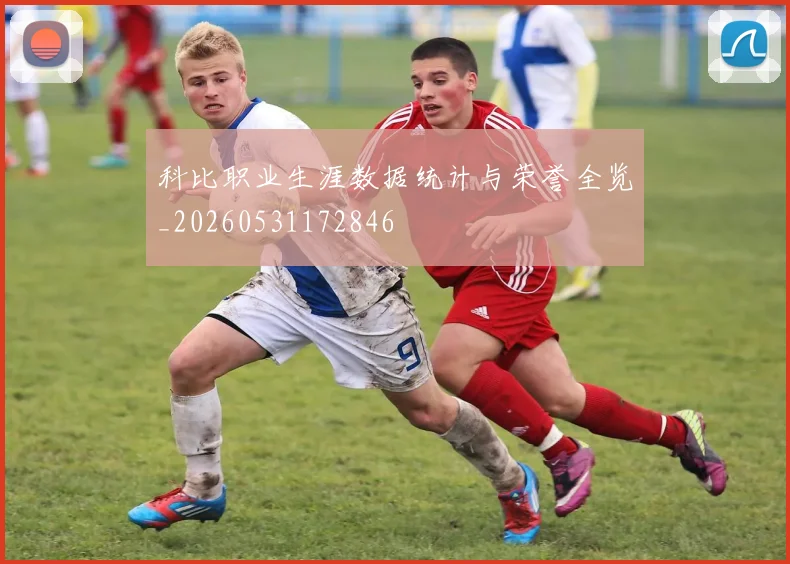 科比职业生涯数据统计与荣誉全览_20260531172846
